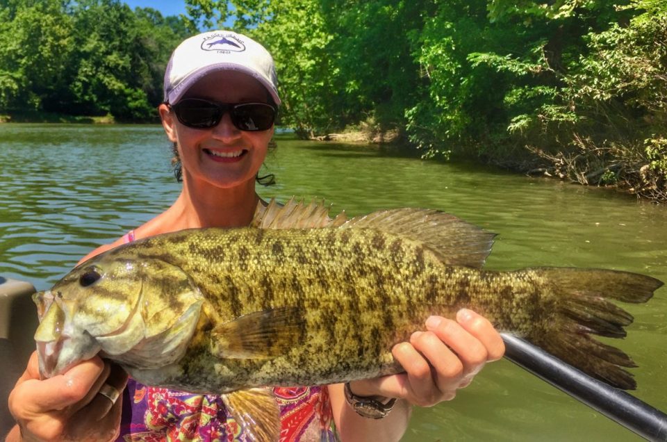 A very nice smallmouth bass caught by an angler while on a guided fly fishing trip in Virginia on the Shenandoah River. One of many rivers Sachem's Pass members can enjoy.