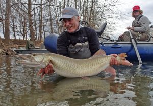 Angler holding a musky while standing in the Shenandoah river, Virginia. A Sachem's Pass member with a great musky.