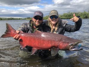 Very large king salmon caught on the Alagnak River, Alaska. Alaska Trophy Adventrues.