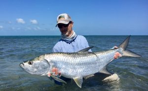angler with a beautiful tarpon caught while fishing from Avalon 1 mother ship in Isla of youth, Isla de la Juventud, Cuba. fly fishing for tarpon.