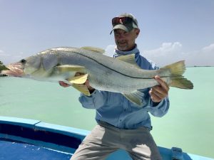 A very nice snook caught while fishing in Ascension Bay Mexico. 