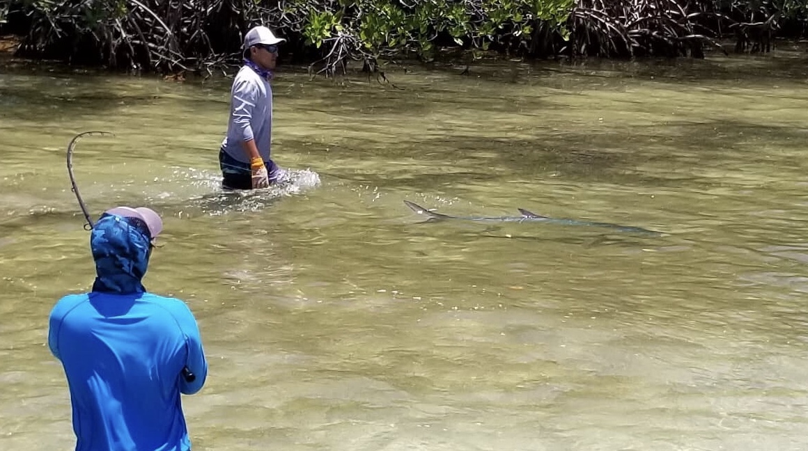 An angler and guide landing a tarpon while fishing La Pescadora Lodge in Mexico's Yucatan Peninsula.
