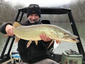 A musky from the Shenandoah river caught new years day 2021.