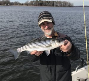 A small striped bass caught on Lake Anna in January.