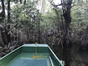 Taking a boat through the flooded Amazon jungle to a remote lake to look for peacock bass. Agua Boa Lodge.