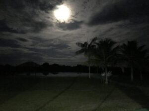 A full moon over the Amazon jungle, Brazil.