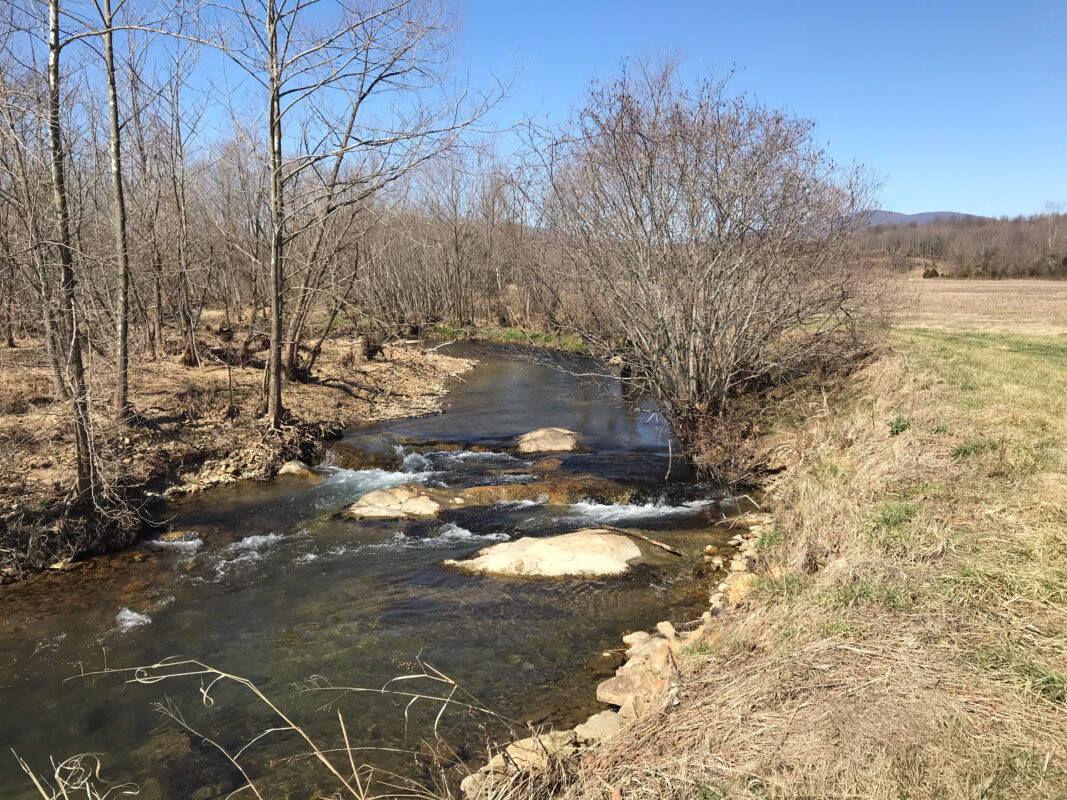 Sachem's Pass - Albemarle Angler